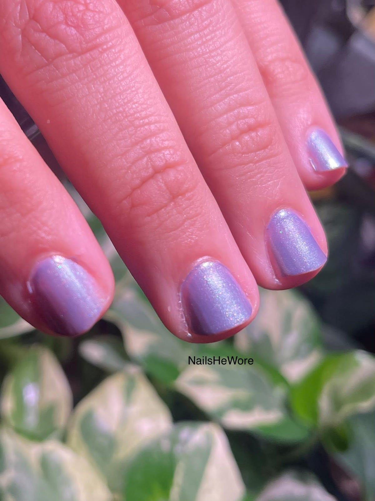 Sonder nail polish